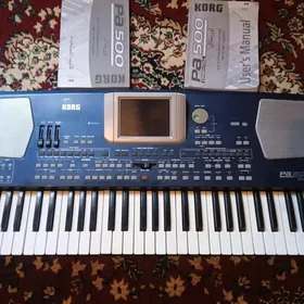 Korg pa500 Oriental