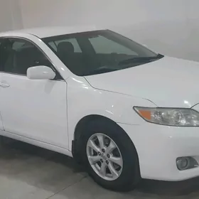 Toyota Camry 2010