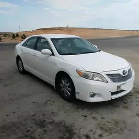 Toyota Camry 2010