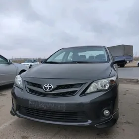 Toyota Corolla 2011