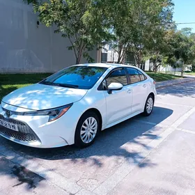 Toyota Corolla 2020