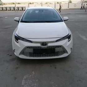 Toyota Corolla 2020