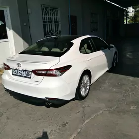 Camry Brazgawik 2018 2024