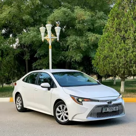 Toyota Corolla 2020