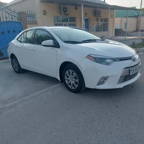 Toyota Corolla 2014