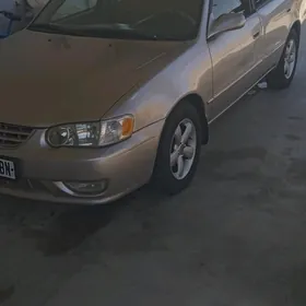 Toyota Corolla 2001