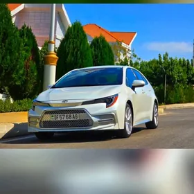 Toyota Corolla 2020