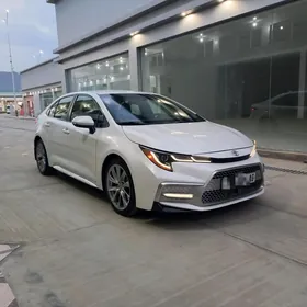 Toyota Corolla 2020