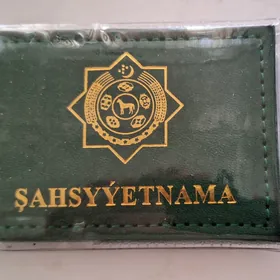 Shahsyyetnama