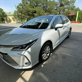 Toyota Corolla 2023