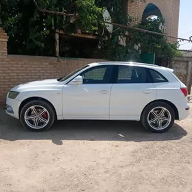 Audi Q5 2009