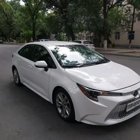 Toyota Corolla 2020