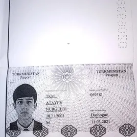 Pasport yitdi