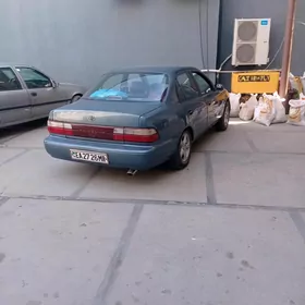 Toyota Corolla 1995