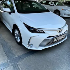 Toyota Corolla 2020