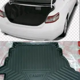 Camry 2010