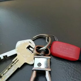 Найдено утереное ключи