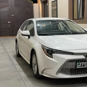 Toyota Corolla 2020