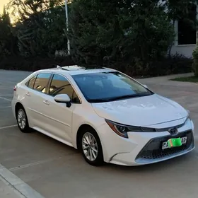 Toyota Corolla 2020