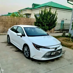 Toyota Corolla 2020