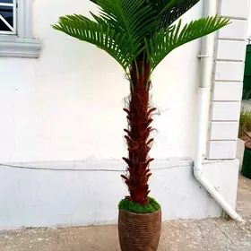 palma bag dekor