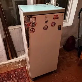 Холодильник Бирюса!
