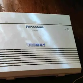 Panasonic