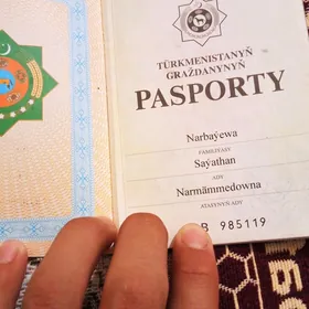 pasport tayldy