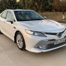 Toyota Camry 2019