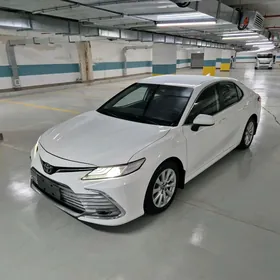 Toyota Camry 2019