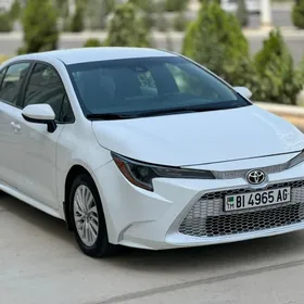 Toyota Corolla 2020