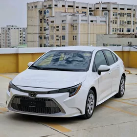 Toyota Corolla 2020