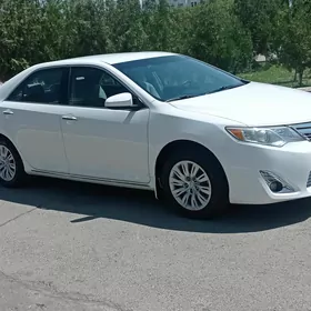 Toyota Camry 2013