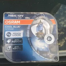 Osram arginal