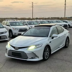 Toyota Camry 2019