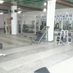 tayyar bizness fitnes club