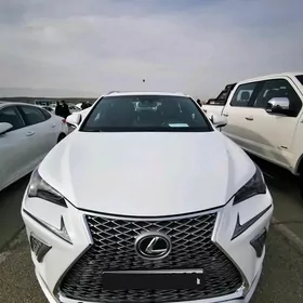 Lexus NX 300 2019