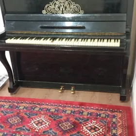 belarus pianina