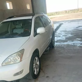 Lexus RX 330 2004