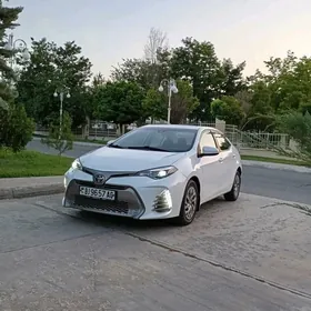 Toyota Corolla 2019