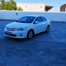 Toyota Corolla 2010