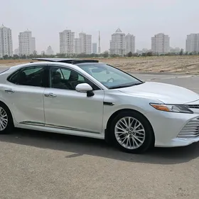 Toyota Camry 2019