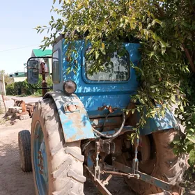 MTZ 80 1989