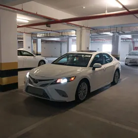 Toyota Camry 2019