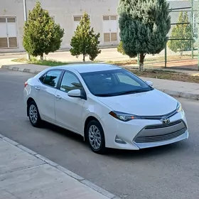 Toyota Corolla 2019