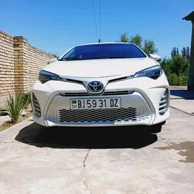 Toyota Corolla 2019