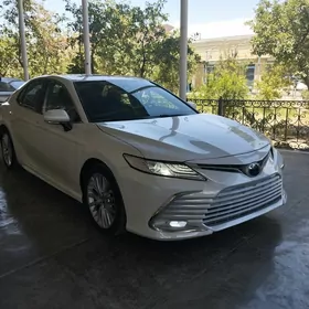 Toyota Camry 2019