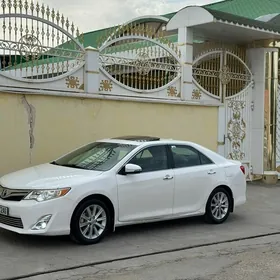 Toyota Camry 2013