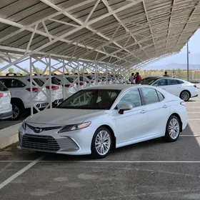 Toyota Camry 2020