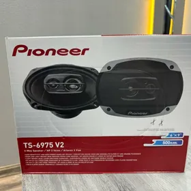 pioneer kalonka 6975